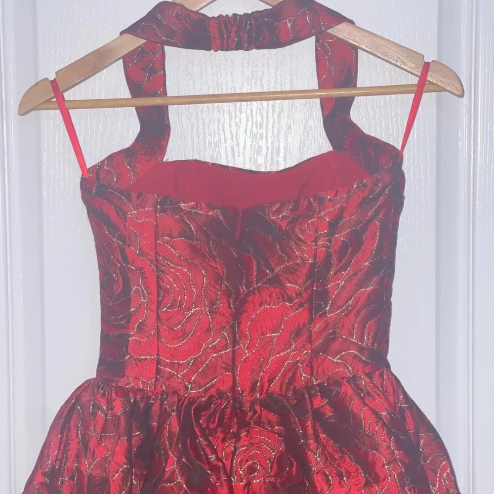 VIPER MINI DRESS lROSE PRINT $139 Elegant Red Halter Dress Textured Floral XS - Picture 5 of 12